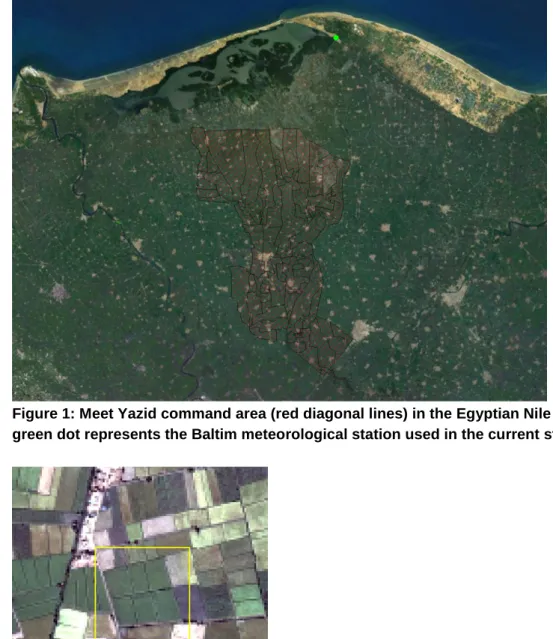 Figure 1: Meet Yazid command area (red diagonal lines) in the Egyptian Nile Delta. The  green dot represents the Baltim meteorological station used in the current study