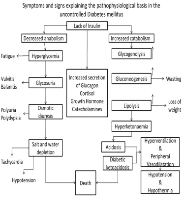 Figure 5. pathophysiological basis for uncontrolled diabetes mellitus. 
