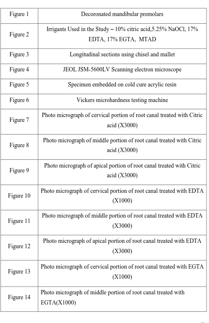 Figure 1 Decoronated mandibular premolars 