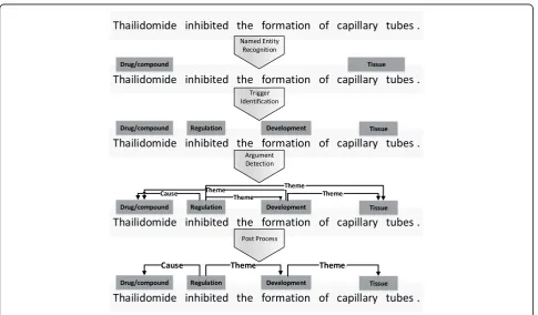 Fig. 1 The procedure of biomedical event extraction