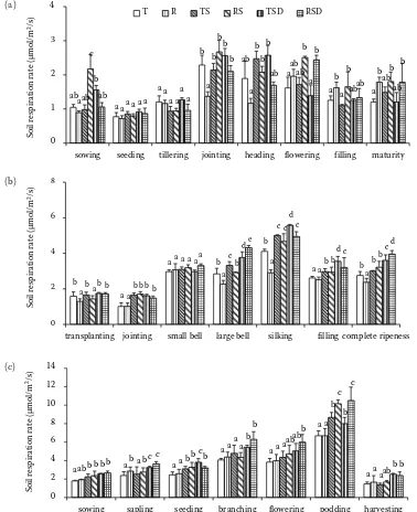 Figure 1. Soil respiration rate in growing seasons of (a) wheat; (b) corn and (c) soybean