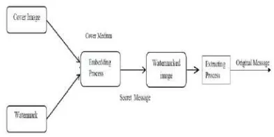 Figure 1 General Hiding Information System. 