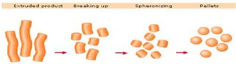 Fig No.8: Depicts the principle of Extrusion & Spheronization, 