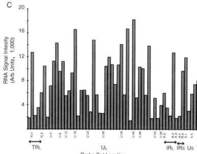 FIG. 2—Continued.