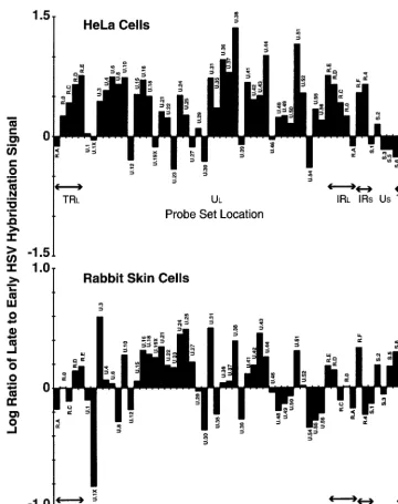 FIG. 3. The log10 of the ratio of late to early infected HeLa and rabbit skin cell viral RNA is plotted to emphasize time-speciﬁc differences in abundance