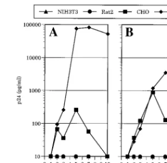 FIG. 1. Rodent cell lines that express human gene products required forHIV-1 replication