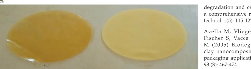 Figure 5. SPI and TiO2 added packaging films