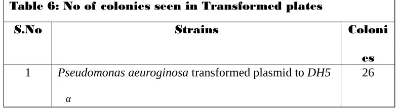 Table 6: No of colonies seen in Transformed plates