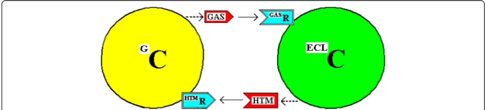 Fig. 1 The Simple Interaction of a G-Cell and an ECL Cell. The reciprocal interactions of a G-Cell and an ECL Cell (GC and ECLC) are illustrated