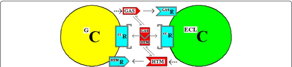 Fig. 2 A Possible Complex Interaction of a G-Cell and an ECL Cell. The reciprocal interactions of a G-Cell and an ECL Cell (GC and ECLC) are illustrated asin Fig