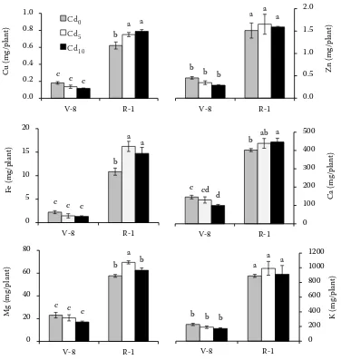 Figure 2. Nutrient content (Cu, Zn, Fe, Ca, Mg, K) in sunflower plants at two phenological stages (V-8 and R-1)