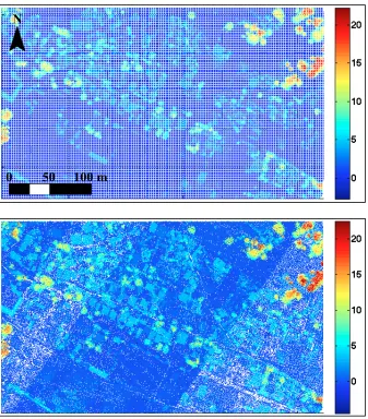 Figure 17. Height models of Darbonne created using two different techniques. Above: First return points are interpolated and subtracted from DTM to create a raster height model