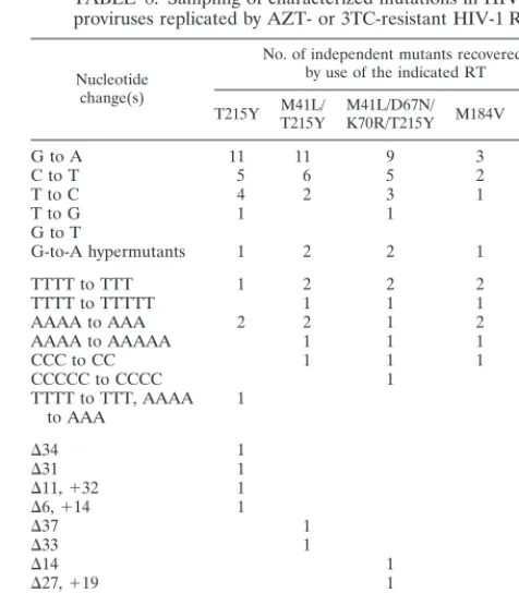 TABLE 7. Mutant frequencies in recovered HIV-1 provirusesreplicated by AZT- or 3TC-resistant HIV-1 RT variants