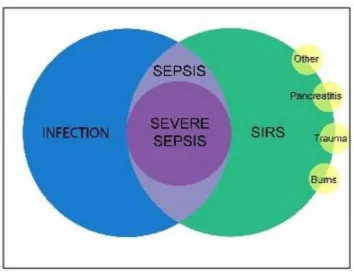 Fig : 6 : Relationship between infection , SIRS and sepsis. 