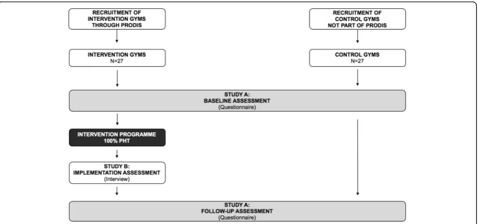 Fig. 1 Study design flowchart