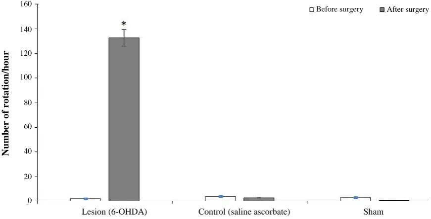 Fig. 1.        Behavioral test results in the three experimental groups. The Figure displays the total number of rotations during one hour 