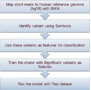 Figure 3.2 Experimental design of WEWAS. 