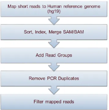 Figure 3.3 QC steps of WES data. 