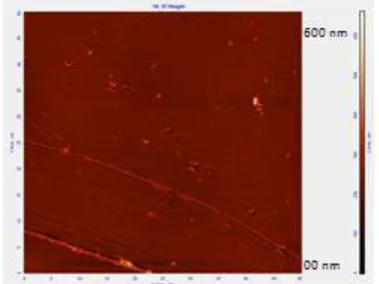 Figure 3 (g) 8 % FA composite 3D AFM Topography 