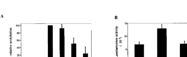 FIG. 7. LANA attenuates Qp-driven expression of EBNA-1. (A) Transient expression assay in which HeLa cells were transfected with a Qp-CAT reporter (1 �alone or with JAK-1 (2deviations indicated