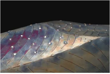 Figure 6 – Fluo (detail) 