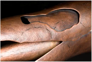 Figure 12 – Amnis (detail) 