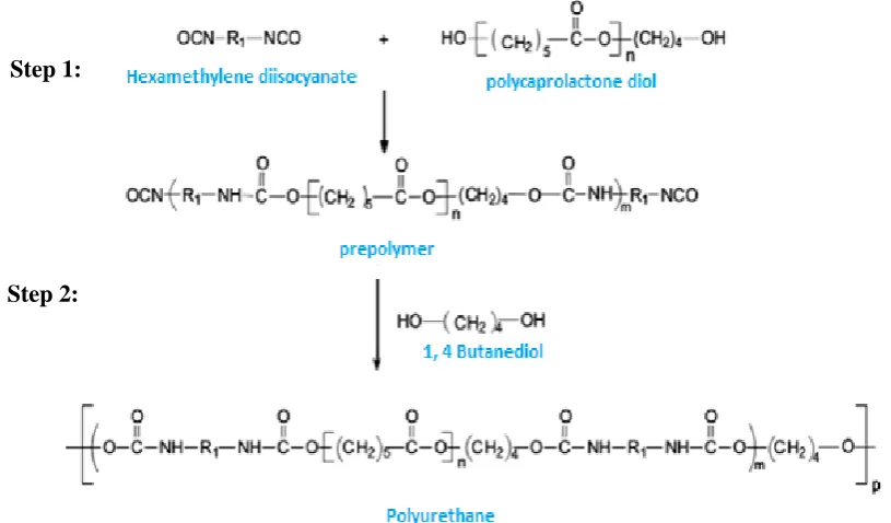 Fig. 1. Polymerization step for synthesizing polyurethane. Step 1, the prepolymer form by hexamethylene diisocyanate and polycaprolactone diol reaction; Step 2, prepolymer reaction by 1,4-butanediol for polyurethane synthesis