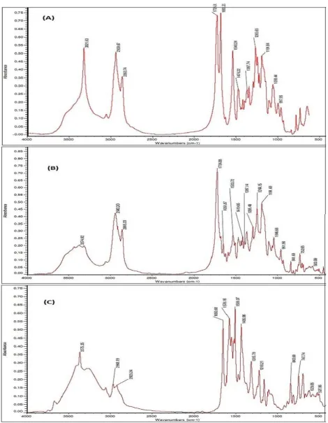 Fig. 2. Fourier Transform Infrared Radiation (FTIR) spectra. FTIR spectra of synthesized polyurethane (A), atorvastatin calcium (B), and AC-loaded polyurethane (C)
