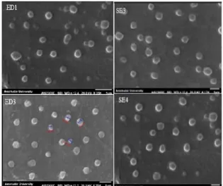 Fig. 8.  In vitro release profiles of atorvastatin calcium from polyurethane-based nanoparticle in phosphate buffer (pH 7.4)