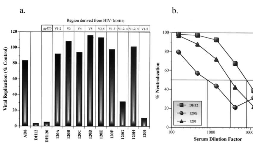 FIG. 2. Neutralization of the parental and chimeric viruses using the HOS-CD4.CCR5 cell line for target cells