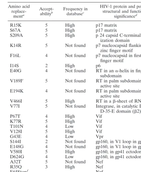 TABLE 4. Amino acid replacements associated with nonsynonymousmutations during plaque-to-plaque transfers of HIV-1