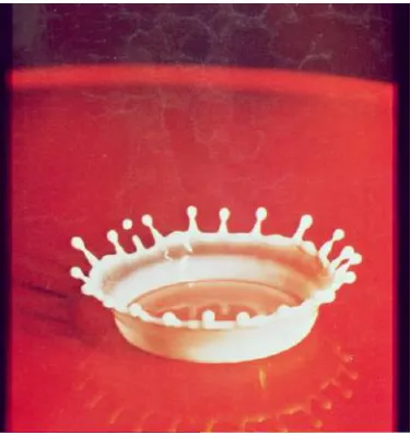 Fig. 1 Visible watermark in image data. 
