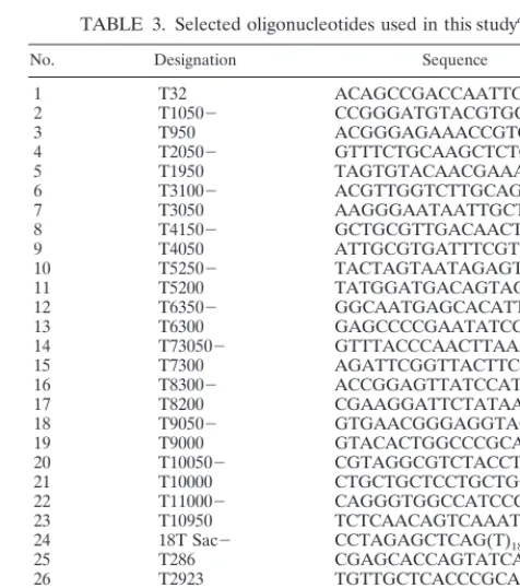 TABLE 2. Base changes in the protein-coding regions of various SIN genomes