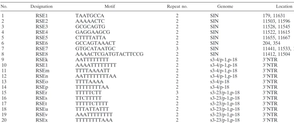 FIG. 6. Physical map of the AU-rich RSEs. Each RSE found within the AU-rich terminal motif of isolates S3-23 (A) and S3-4 (B) was arranged and identiﬁed bythe same letters as indicated in Table 2