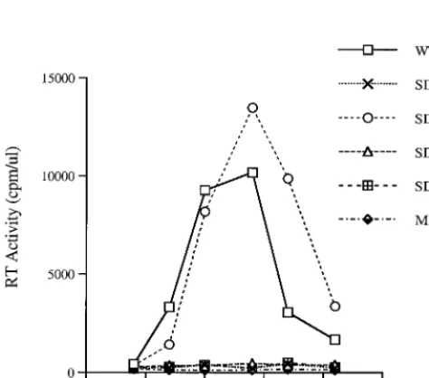 TABLE 2. Levels of p27 antigen expression in C8166 cellsa