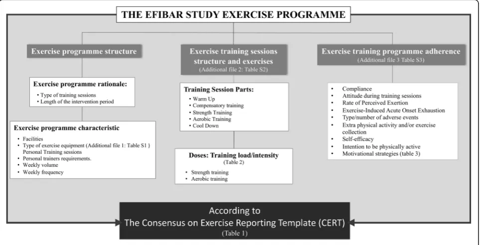 Fig. 1 Graphical abstract of the detailed exercise programme of the EFIBAR Study