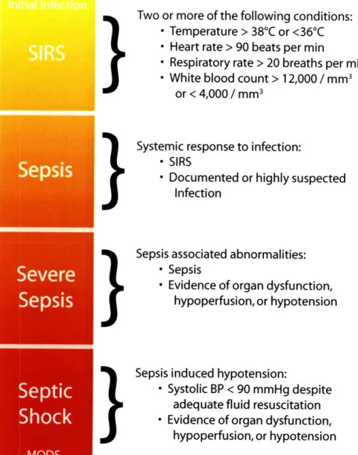 Figure  2-1:  The clinical  spectrum  of sepsis  begins with the initial toxic  insult and progresses  through increasing  inflammatory  response  stages