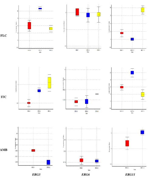 Fig. 1. Effect of fluconazole (FLC), itraconazole (ITC), and amphotericin B (AMB) on Colors represent resistant isolates (Red, no