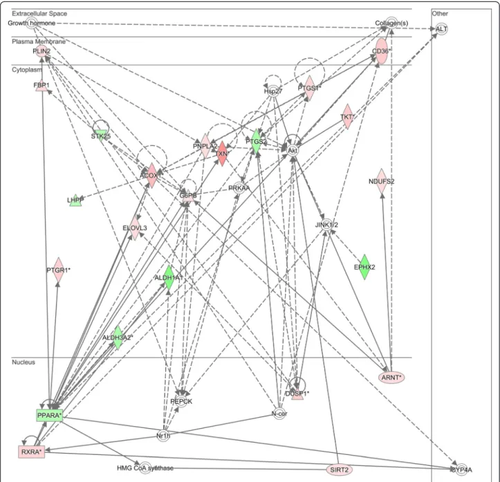 Fig. 1 Differentially regulated genes corresponding to a gene network having peroxisome proliferator-activated receptor- α (PPARA)-related and retinoic acid receptor- α (RXRA) genes as highly connected nodes