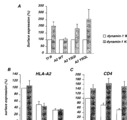 FIG. 6. Susceptibility of A2-endo and Nef-induced HLA-A2 and CD4 mod-ulation to a transdominant-negative dynamin-1 mutant