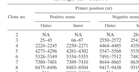 TABLE 1. Synthetic oligonucleotide primers used to construct afull-length GBV-C cDNA