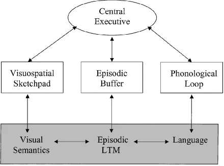 Figure 3: Working Memory Model (Baddeley) 