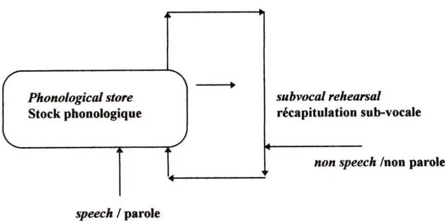 Figure 4: Structure and functioning of the phonological loop 