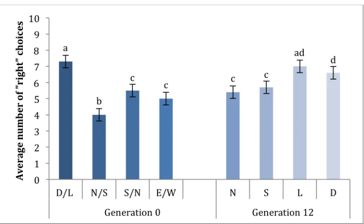 Figure   3:      Average number of choices toward the right side of the maze for the original population of flies (Generation 0), and flies after 12 rounds of selection (Generation 12)
