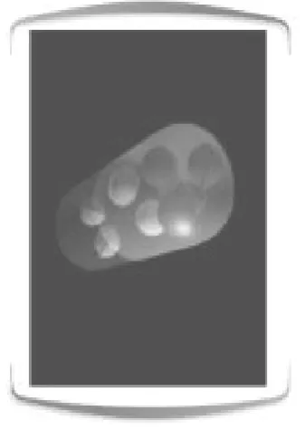 Fig 3: Programmable Oral Drug Absorption  System 