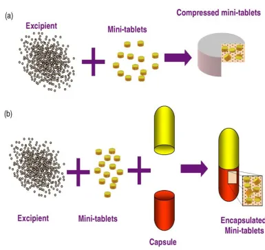 Fig 7: Mini-tablets delivered (a) as a tablet or a (b) capsule11  