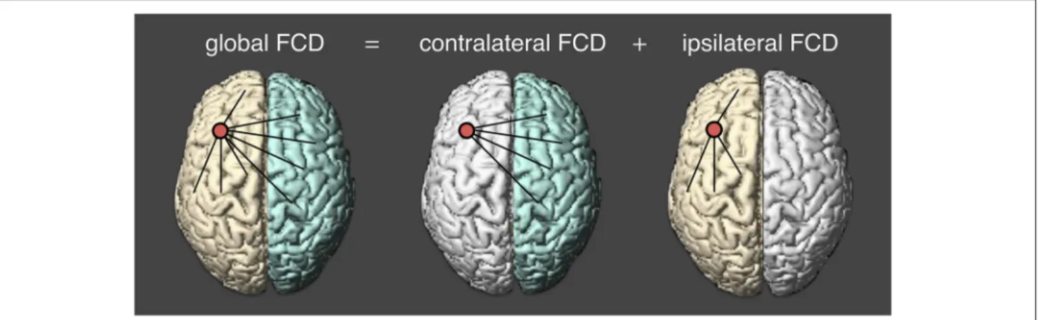 FIGURE 1 | Calculating three measures of functional connectivity density. cFCD (contralateral functional connectivity density) is the number of functional connectivity from the opposite hemisphere; iFCD (ipsilateral functional connectivity density) is from