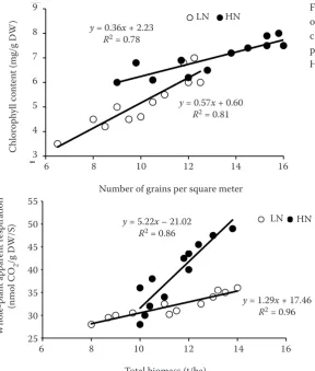 Figure 1. The relationship between number of grains per square meter (× 1000) and chlorophyll content in grain as a function of post-anthesis nitrogen supply