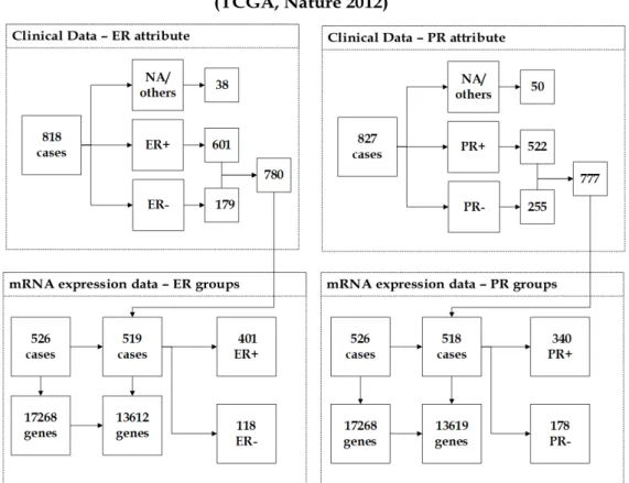 Figure 3.1: The description of (Nature 2012) dataset showing the unification of clinical data and mRNA expression data.
