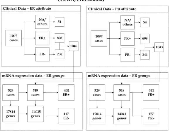 Figure 3.3: The description of (Provisional) dataset showing the unification of clinical data and mRNA expression data.